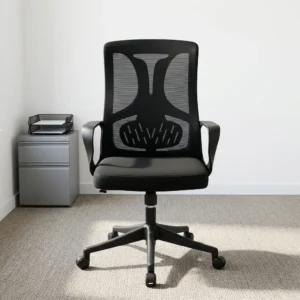Black mid-back mesh office chair with lumbar spine accent panel, contoured seat cushion, fixed loop armrests, and 5-star swivel caster base.